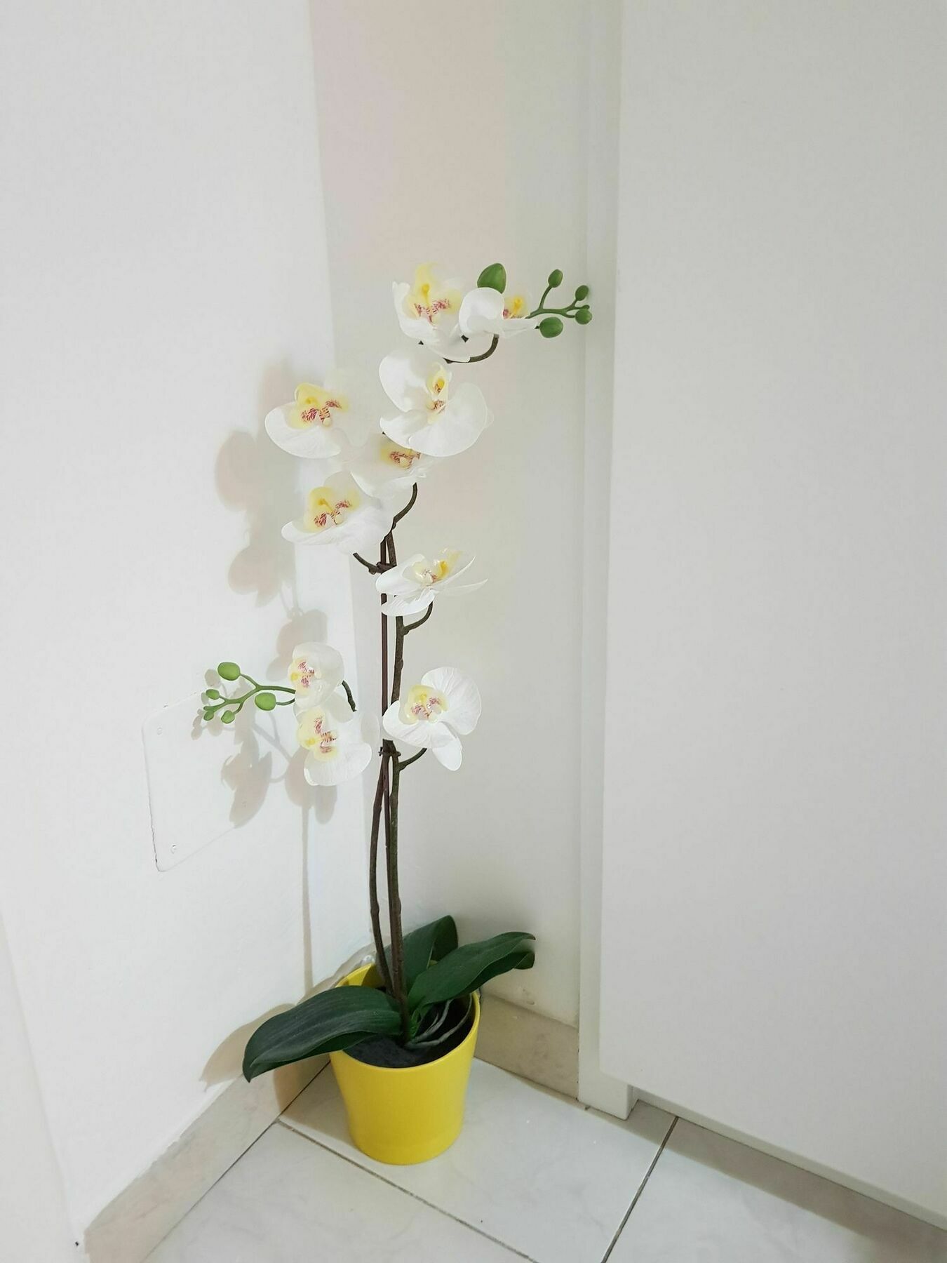 Happy Apartment Lecce Extérieur photo